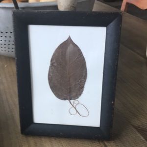 Roma Distressed Dark Brown Picture Frame with Original Pressed Leaf